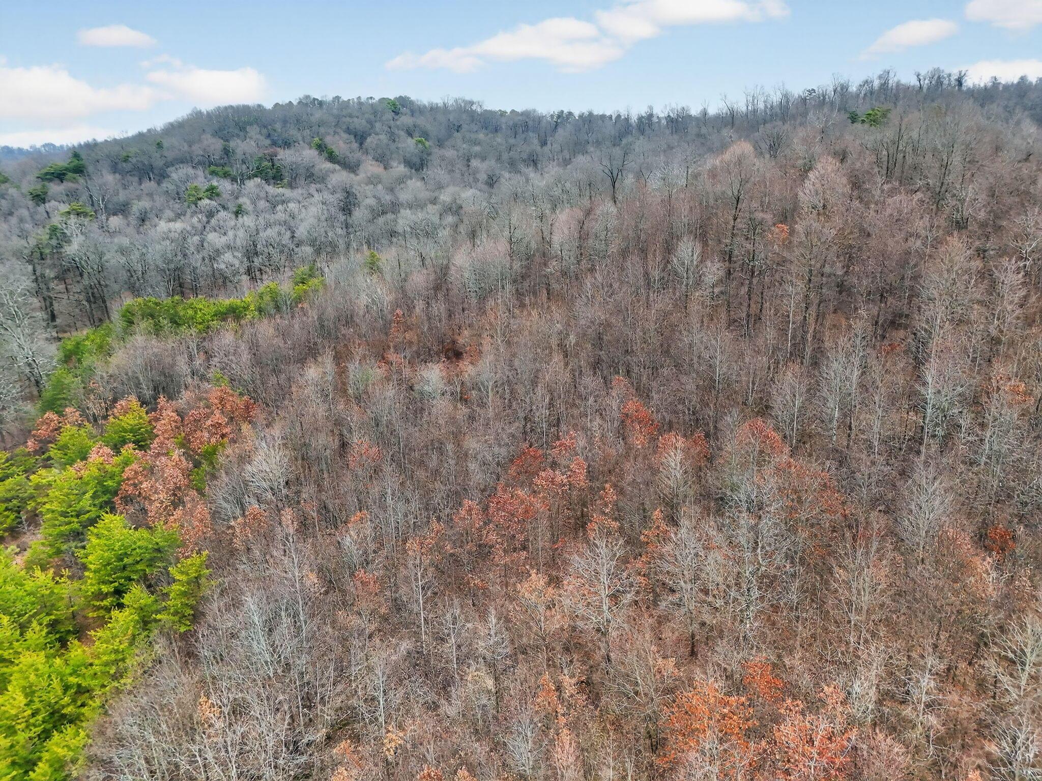 14442 Jack Run Road Rockbridge, OH 43149 - Photo 32 of 33 14440 Jack Run Land (Drone)-24
