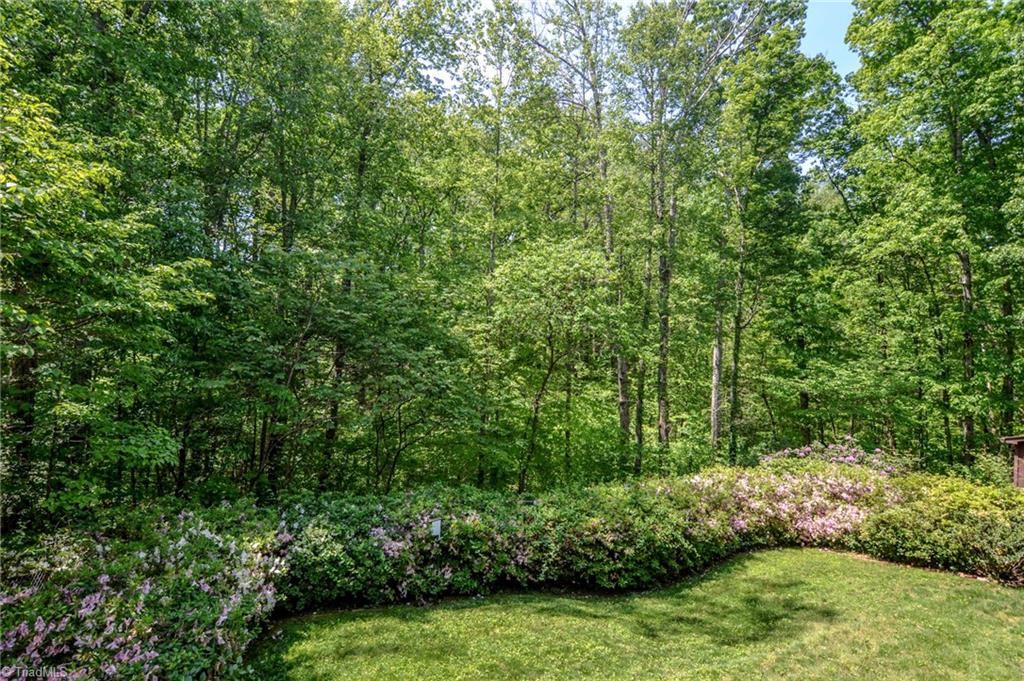 4925 Aladdin Road Pfafftown, NC 27040 - Photo 20 of 23 Gallery Image 20