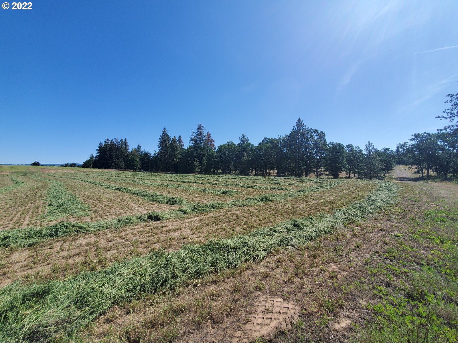 6 Chianti Road Goldendale, WA 98620 - Photo 4 of 12 Gallery Image 4