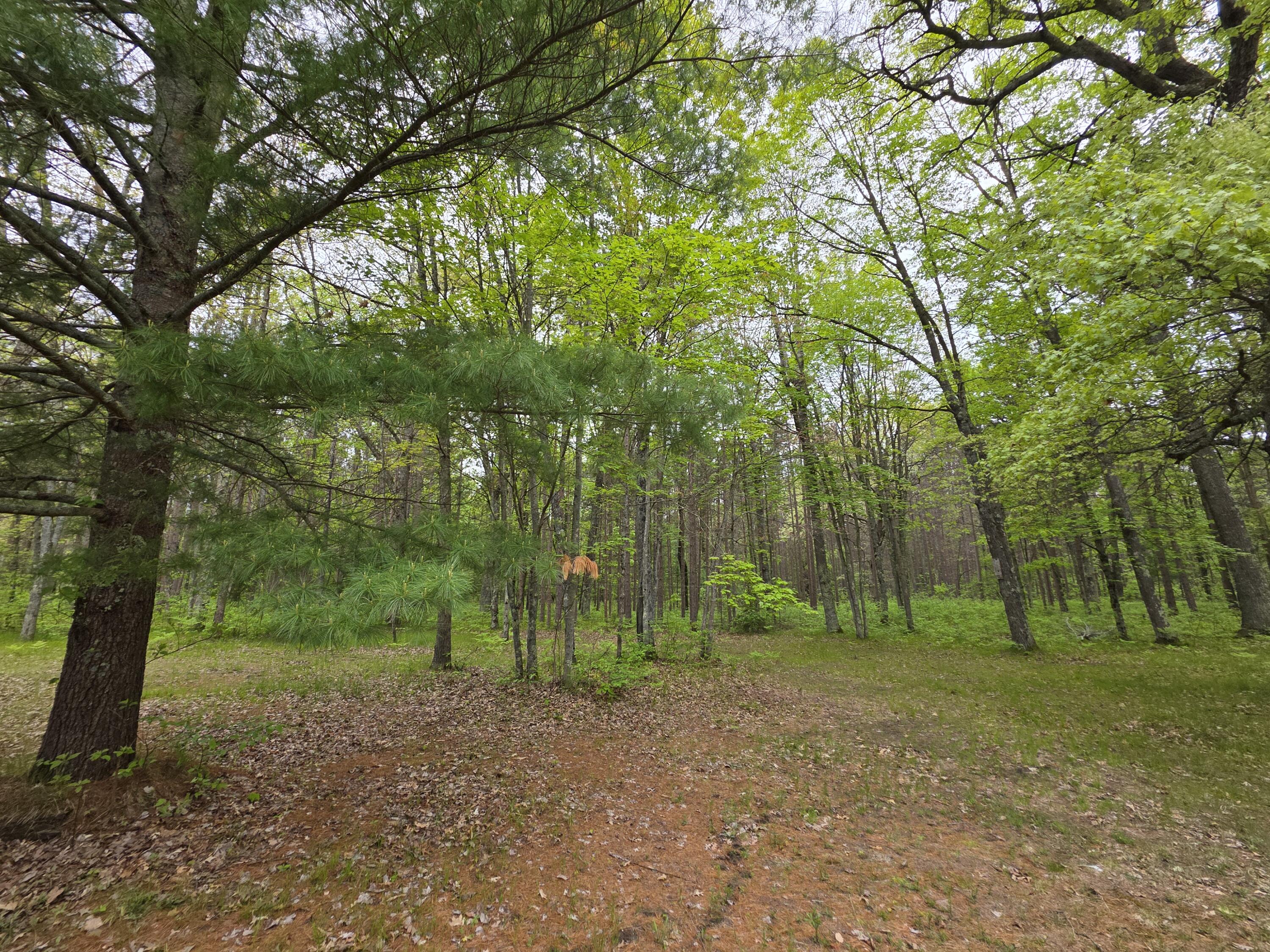 7470 Becker Road Manistee, MI 49660 - Photo 11 of 32 20250530_095616