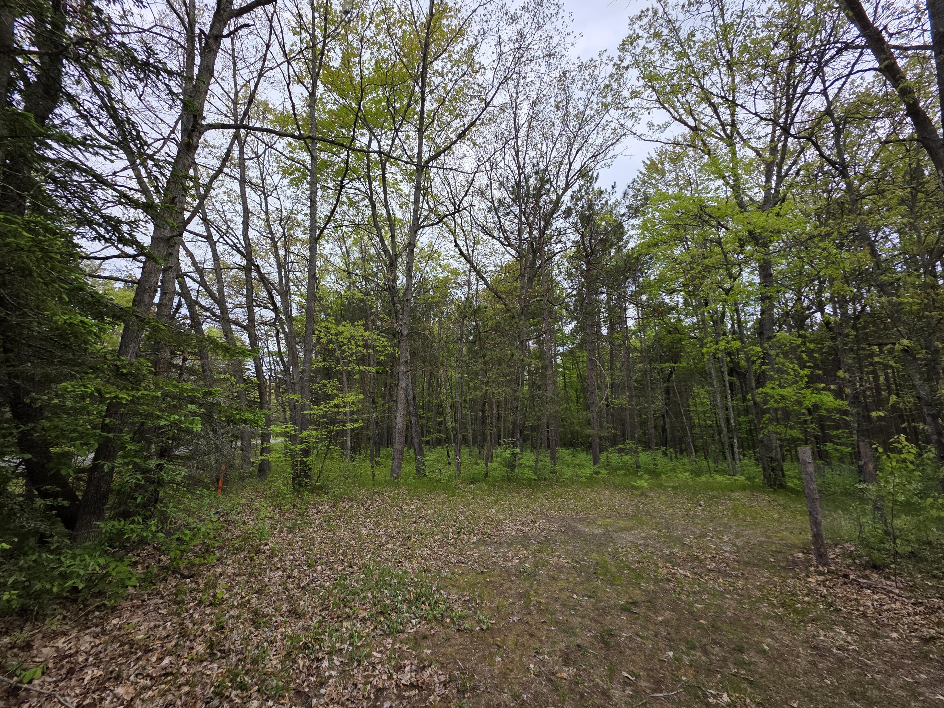 7470 Becker Road Manistee, MI 49660 - Photo 3 of 32 20250530_095451