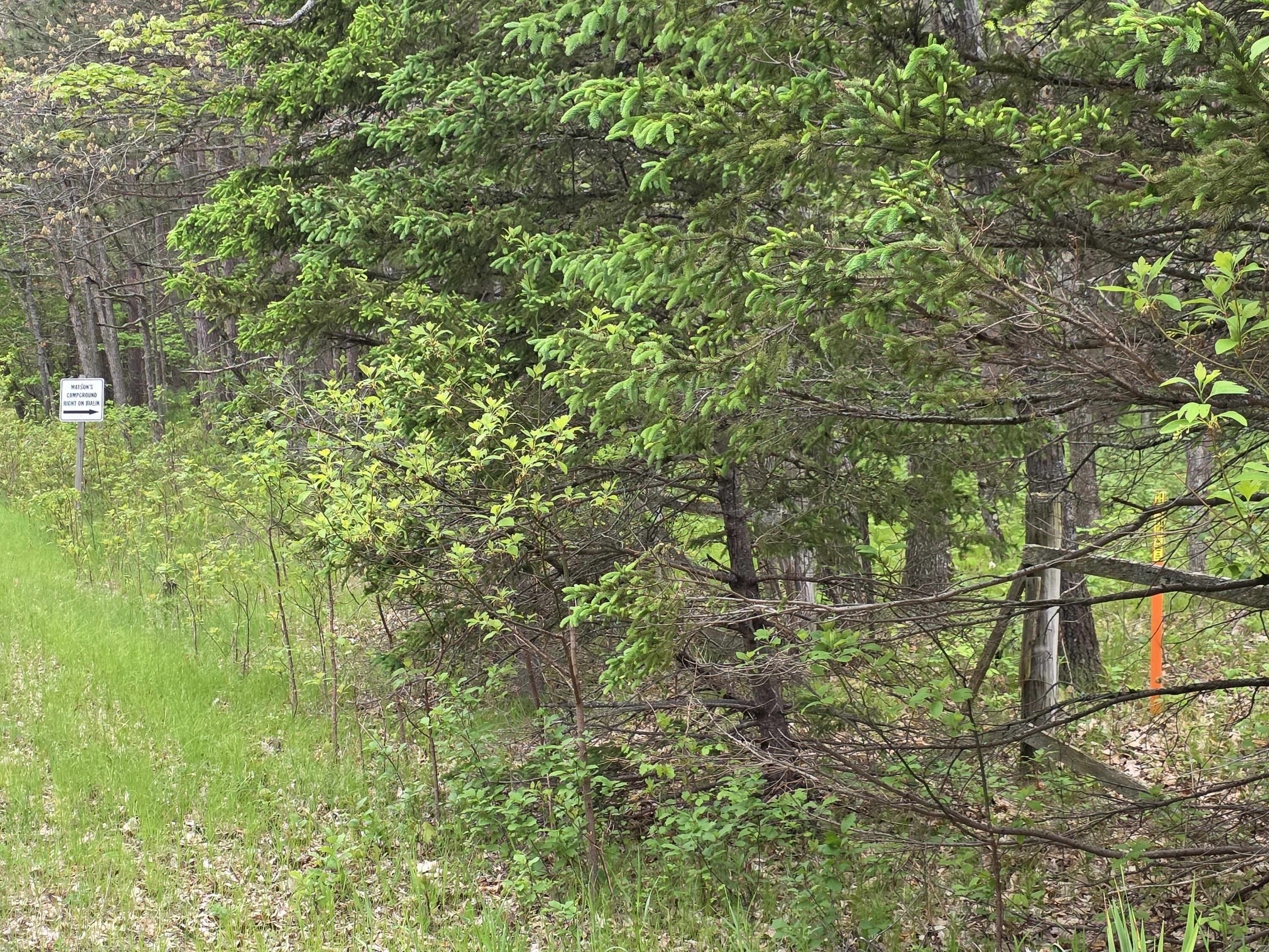 7470 Becker Road Manistee, MI 49660 - Photo 4 of 32 20250530_095519