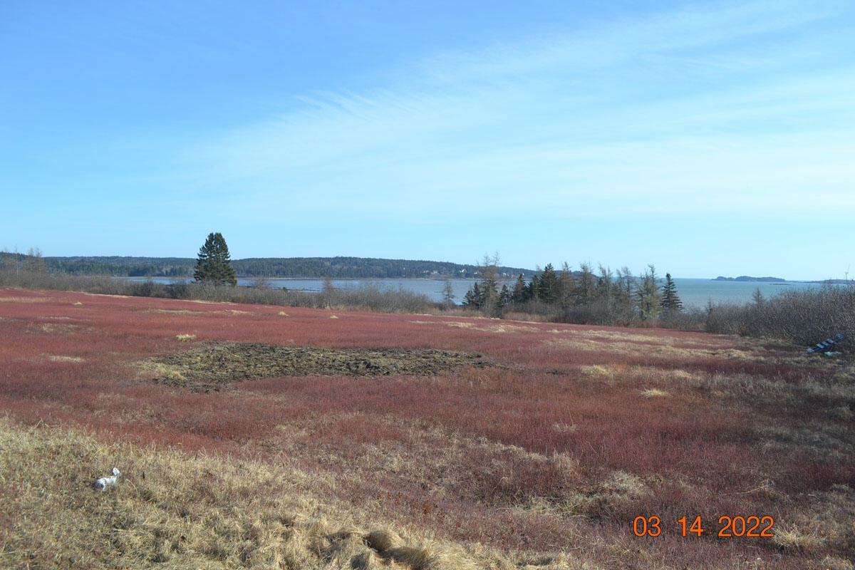 M6-l23 Ridge Road Cutler, ME 04626 - Photo 15 of 15 DSC_0003