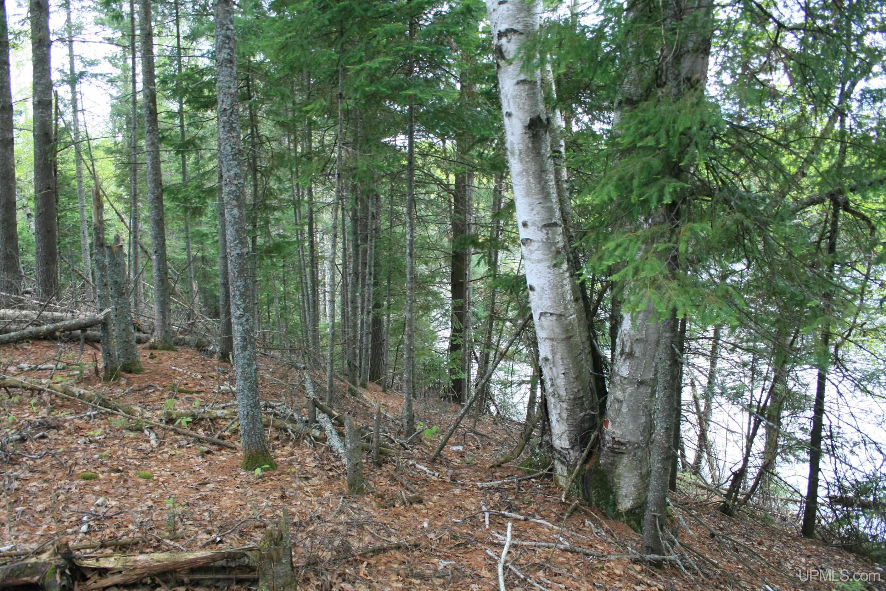 Tbd Sucker Lake Road Watersmeet, MI 49969 - Photo 20 of 24