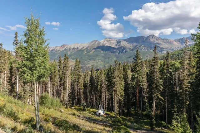 a view of a bunch of trees