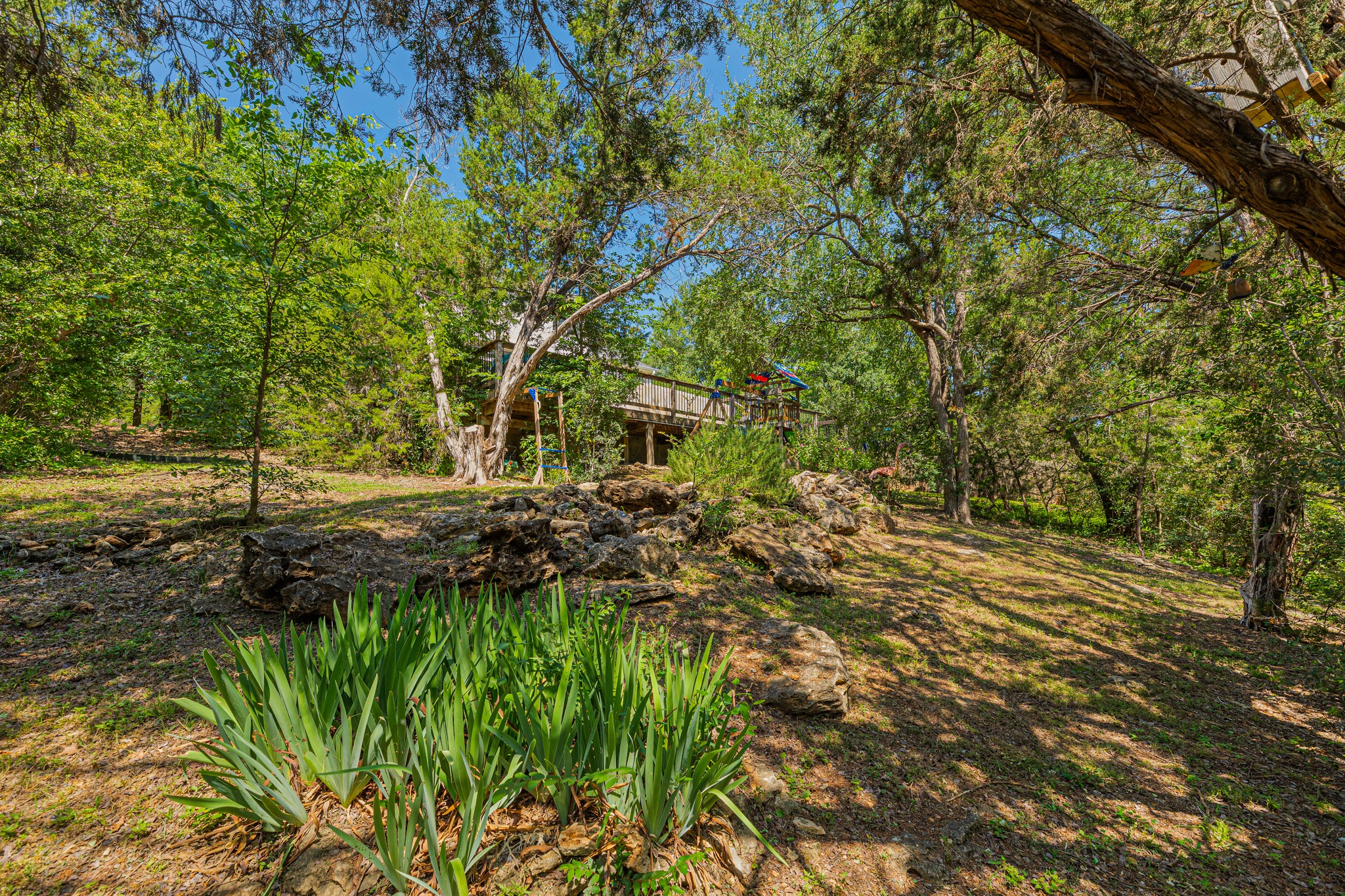 304 River Down Road Georgetown, TX 78628 - Photo 22 of 22 Expansive natural landscape featuring lush greenery and mature trees