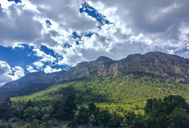 $325,000 | 2650 Daines Drive, Unit 101, Mount Charleston, NV 89124