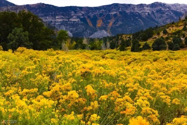 $325,000 | 2650 Daines Drive, Unit 101, Mount Charleston, NV 89124