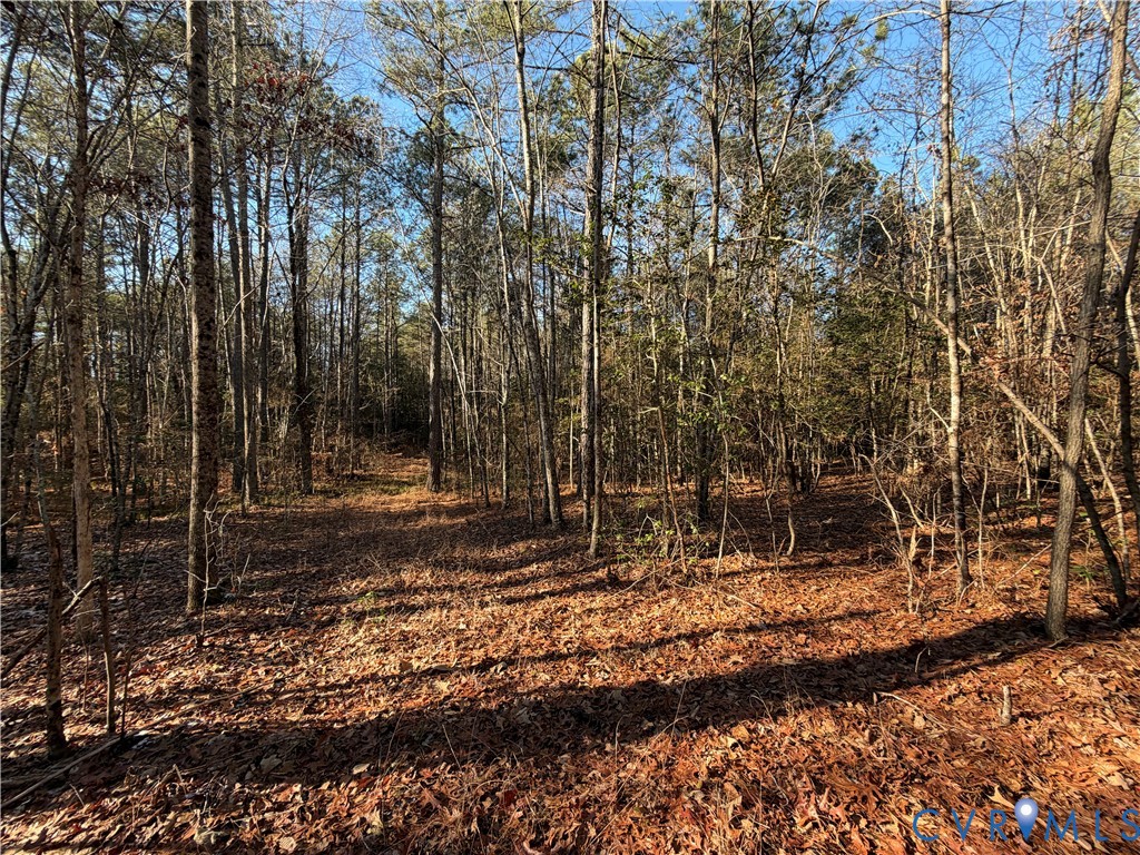 Tbd Lilly Pond Road Center Cross, VA 22437 - Photo 5 of 9 a view of backyard space