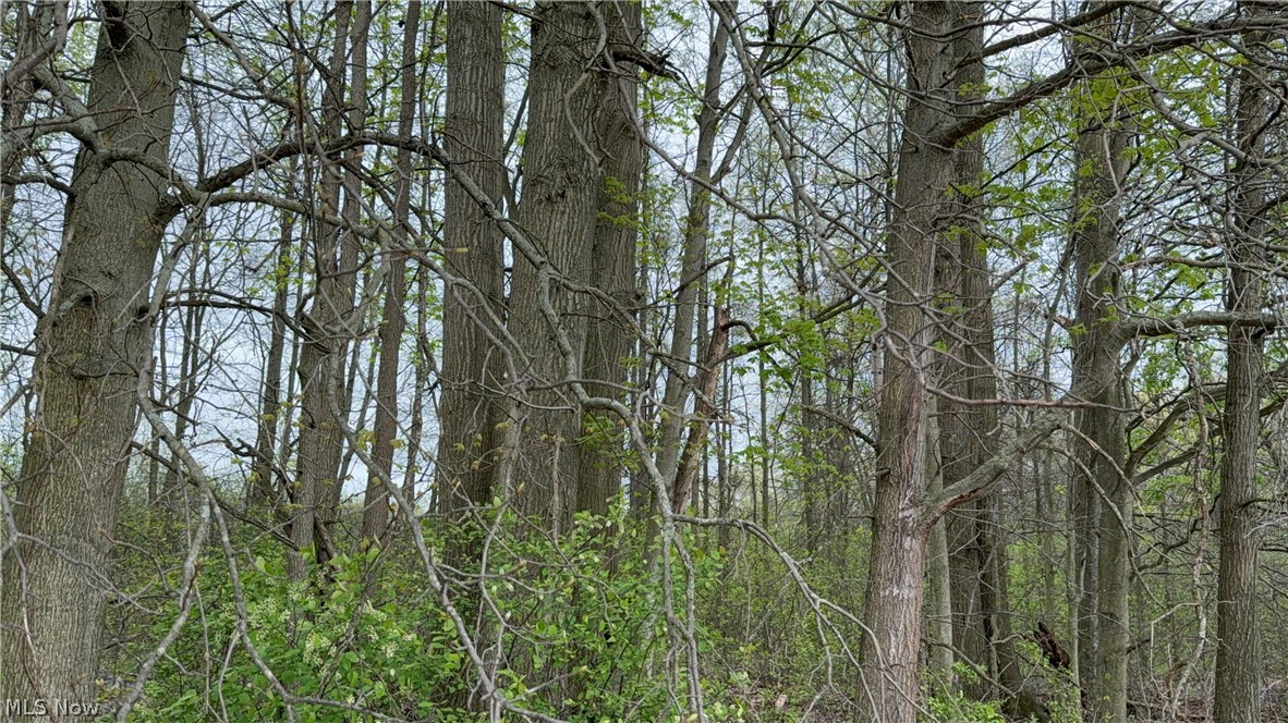 V/l Donley Road Middlefield, OH 44062 - Photo 28 of 30