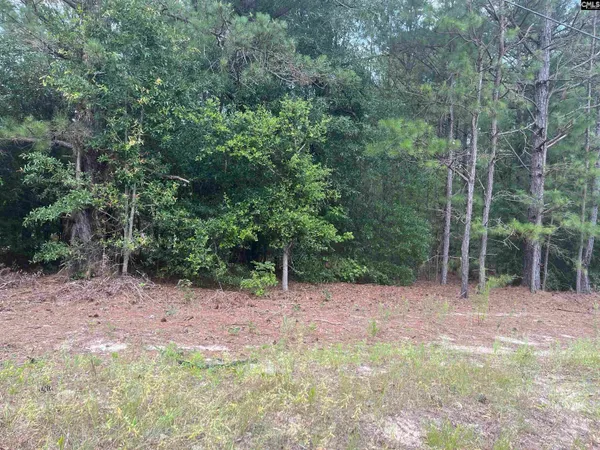 $63,900 | Tbd Festival Trail Road, Salley, SC 29137