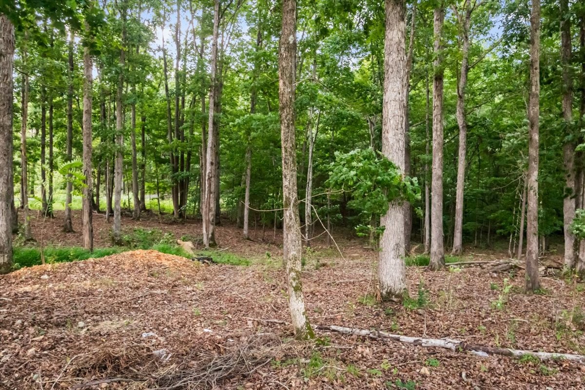1220 Singleton Road Dickson, TN 37055 - Photo 32 of 37 Gallery Image 32