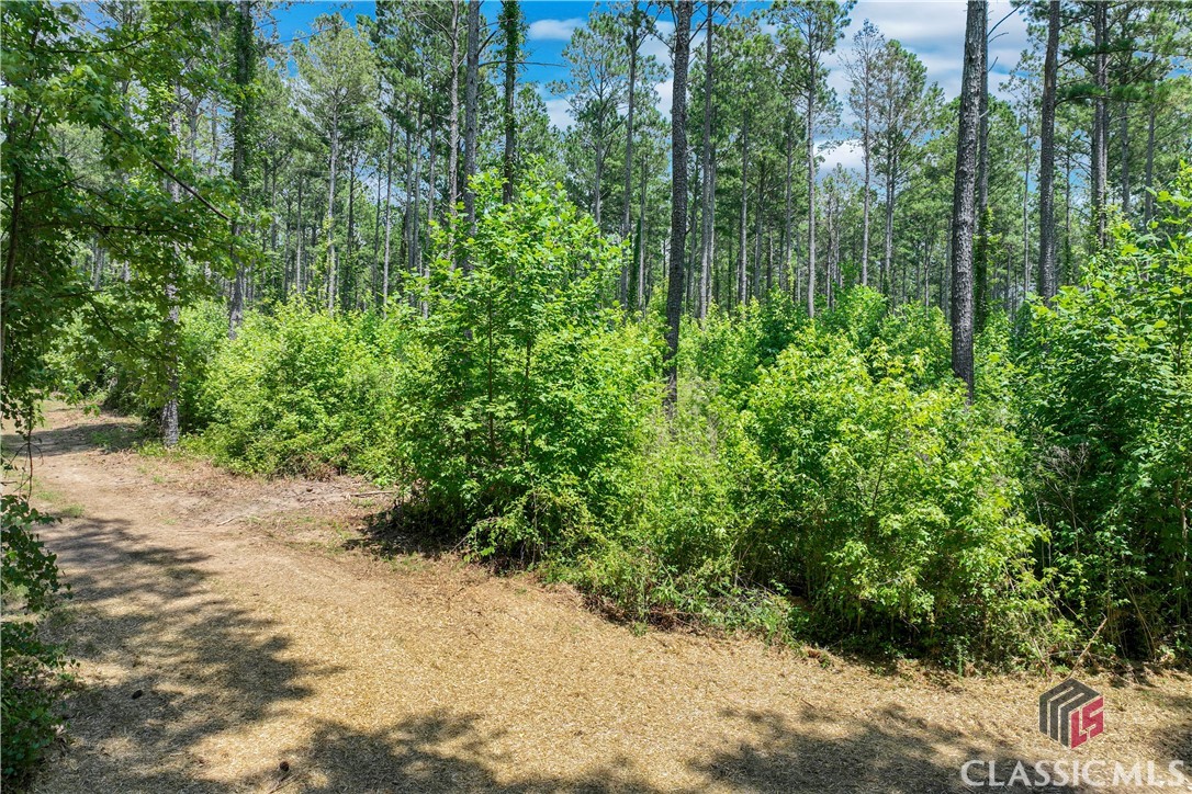 1425 Hargrove Lake Road Winterville, GA 30683 - Photo 3 of 7 Gallery Image 3