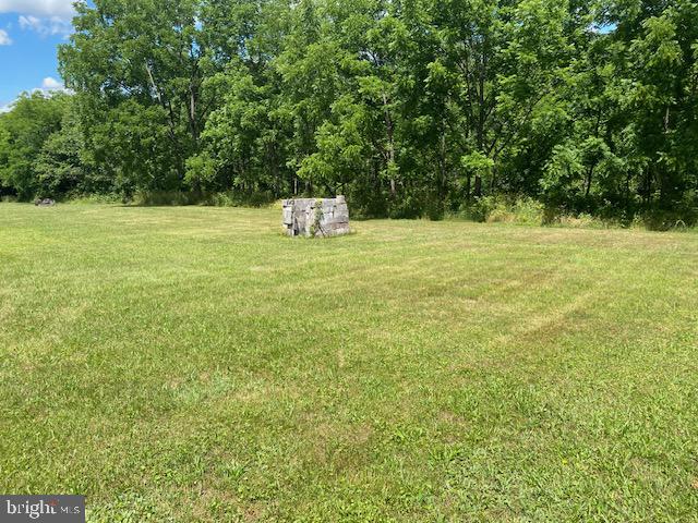 91 Vanormer Road McAlisterville, PA 17049 - Photo 7 of 25 Rear yard 2