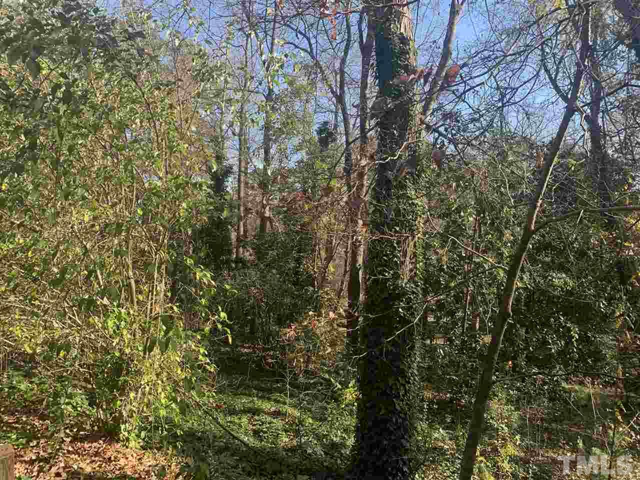 3221 Lewis Farm Road Raleigh, NC 27607 - Photo 3 of 3