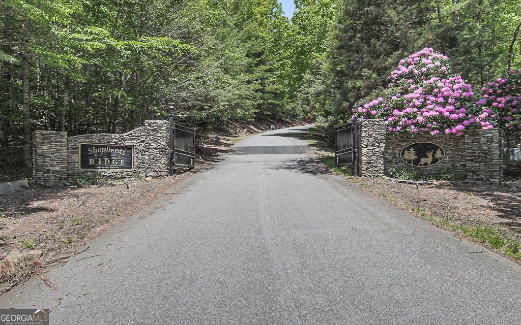 366 Shepherds Lane Morganton, GA 30560 - Photo 3 of 77 a pathway to a house with a street