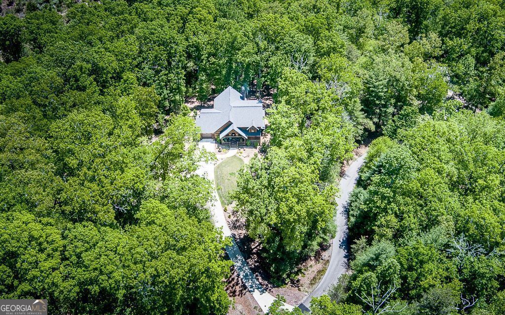 366 Shepherds Lane Morganton, GA 30560 - Photo 4 of 77 an aerial view of a house with a yard