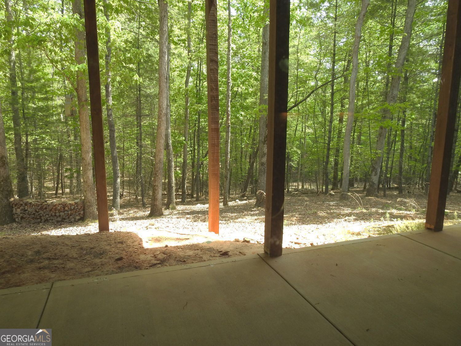 366 Shepherds Lane Morganton, GA 30560 - Photo 76 of 77 a view of tall trees with trees in the background
