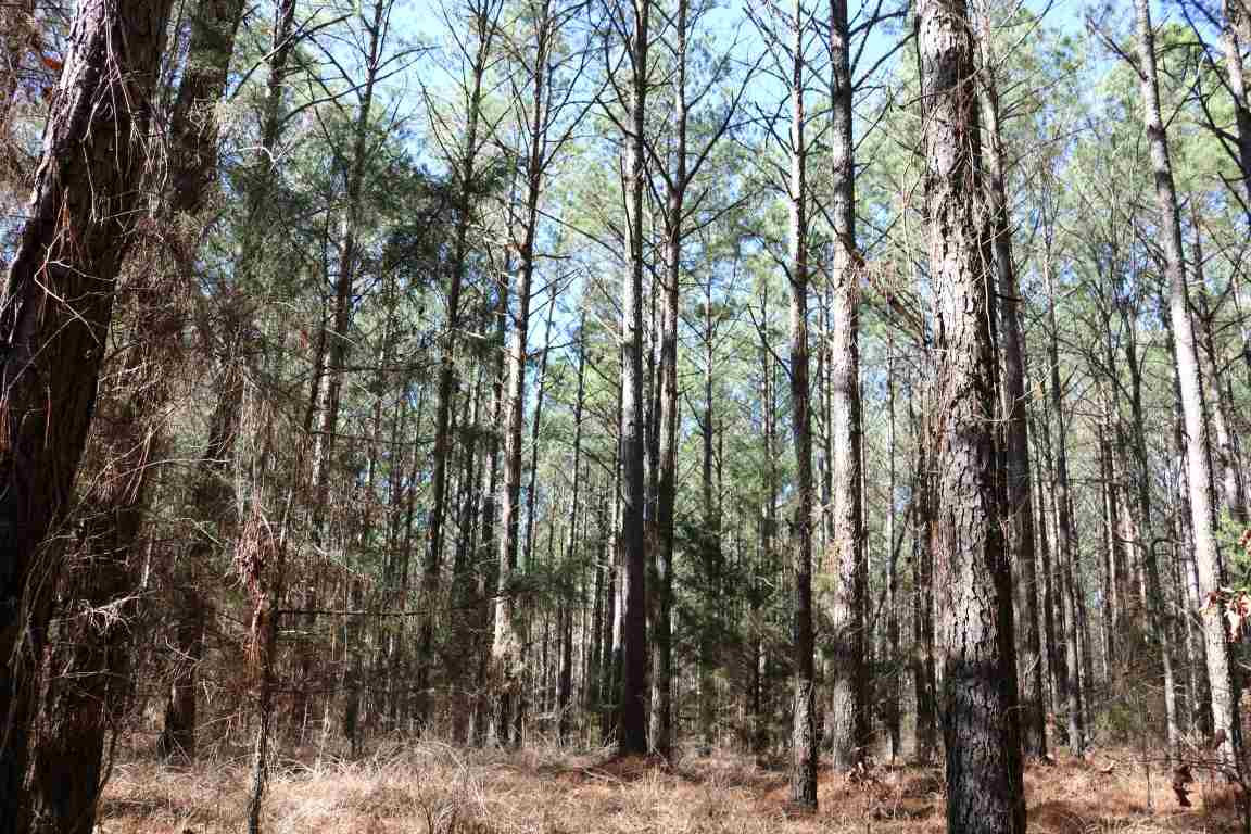 0 North Norrell Road Clinton, MS 39056 - Photo 14 of 17 Photo 15