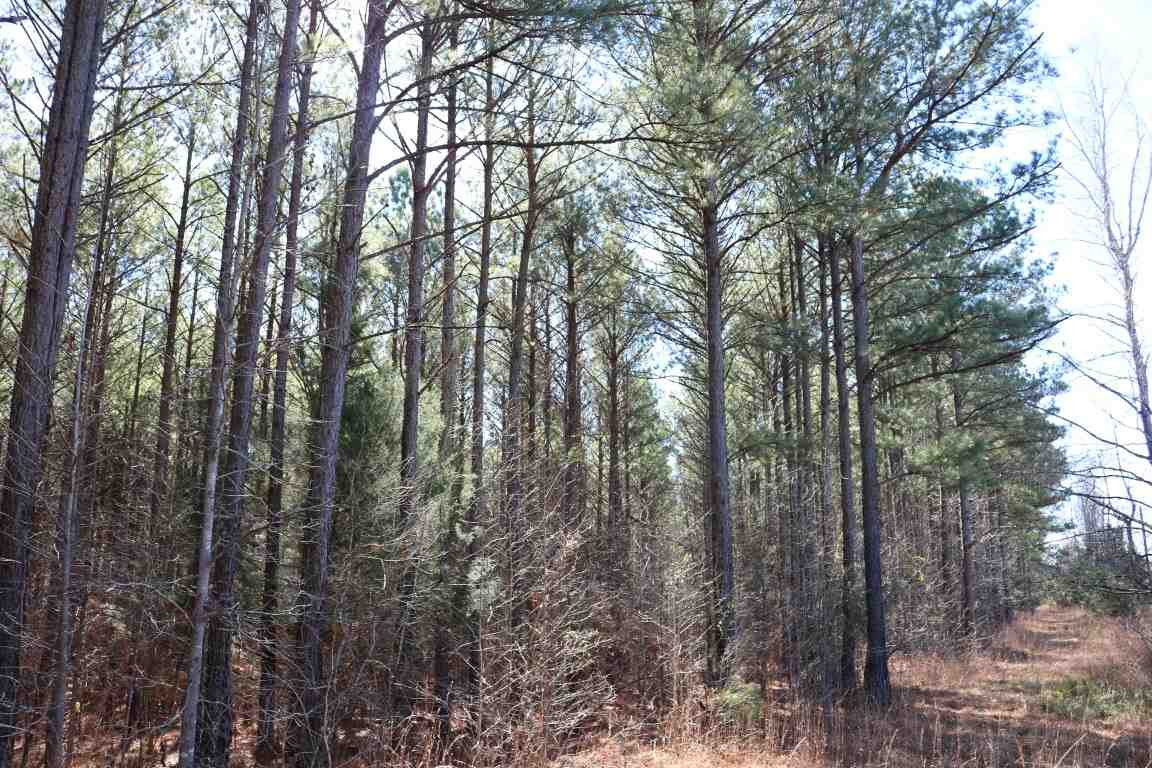 0 North Norrell Road Clinton, MS 39056 - Photo 17 of 17 Photo 18