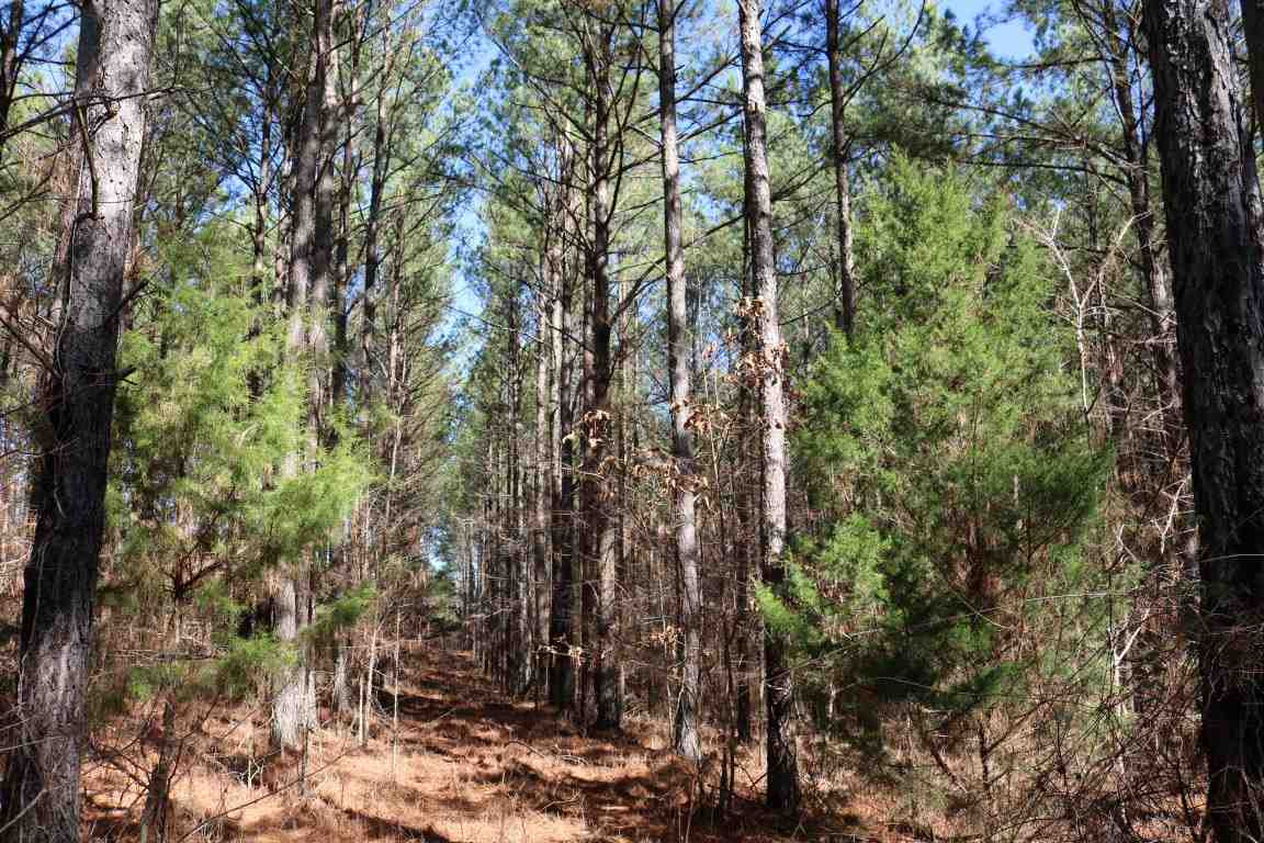 0 North Norrell Road Clinton, MS 39056 - Photo 3 of 17 Photo 3