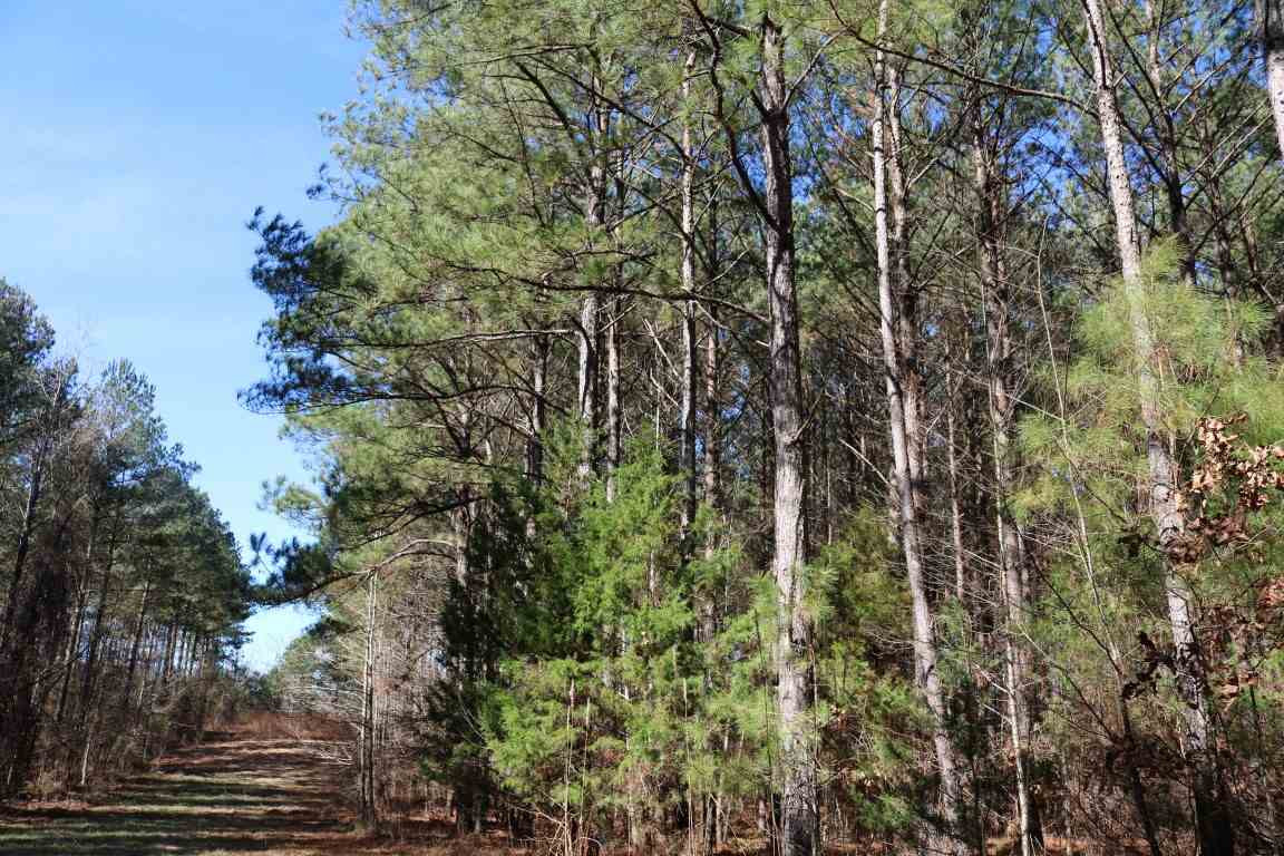 0 North Norrell Road Clinton, MS 39056 - Photo 7 of 17 Photo 7