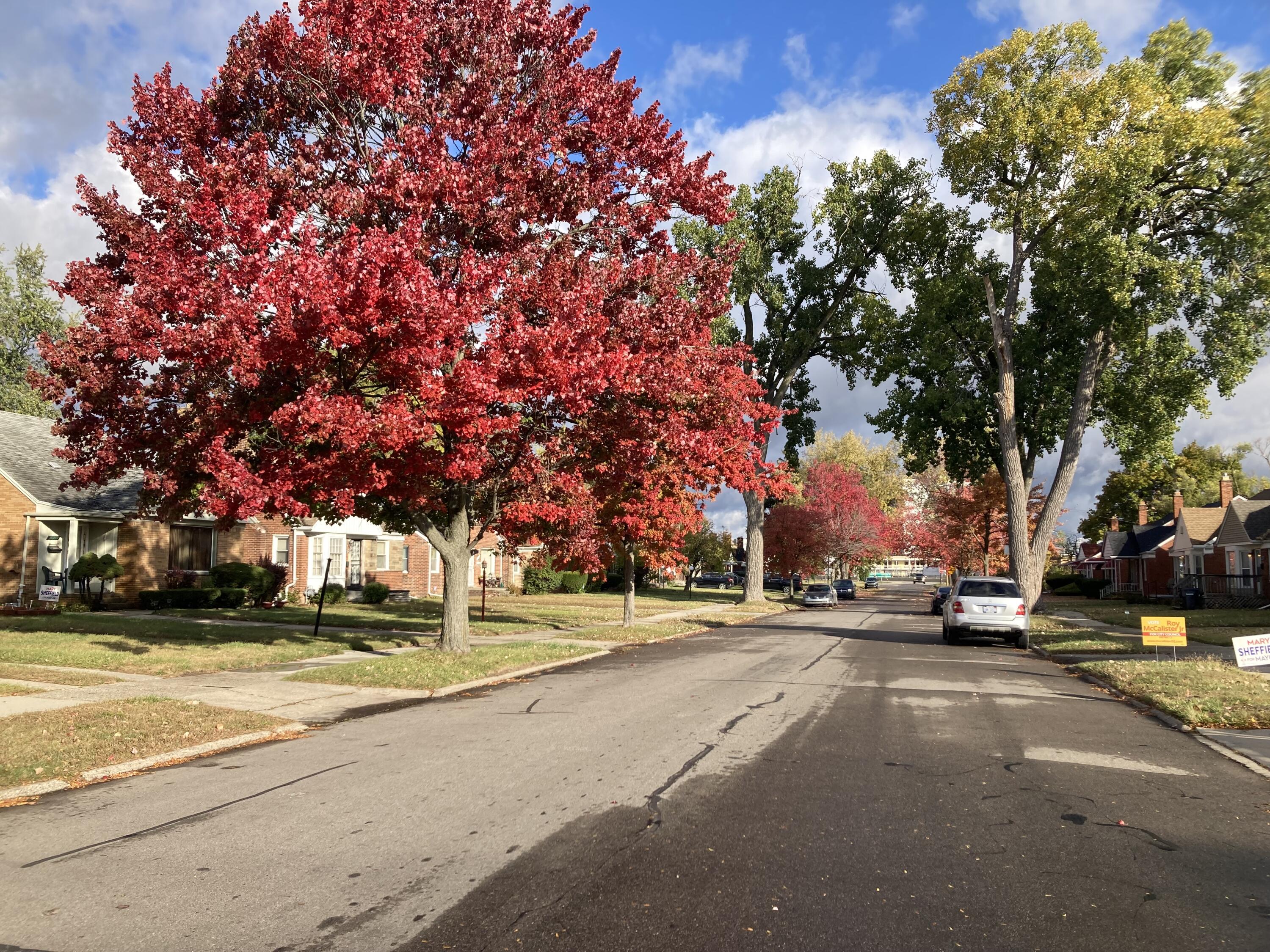 20253 Winthrop Street Detroit, MI 48235 - Photo 15 of 15 IMG_7318