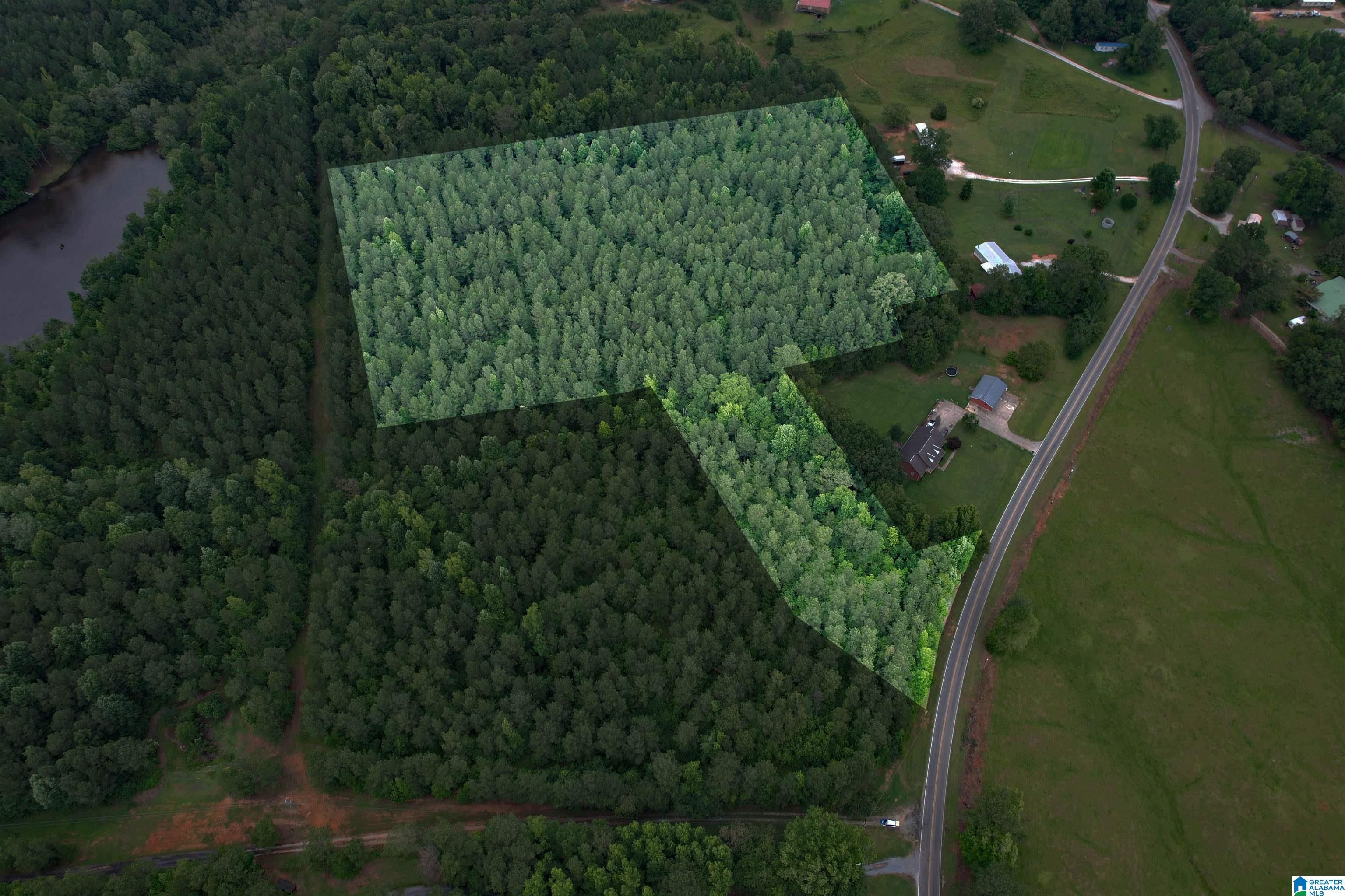 0 Houston Road Sylacauga, AL 35151 - Photo 28 of 32