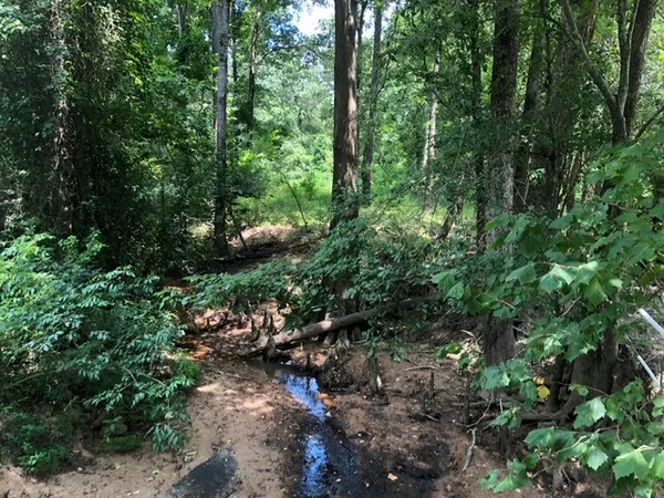 a view of outdoor space and green space