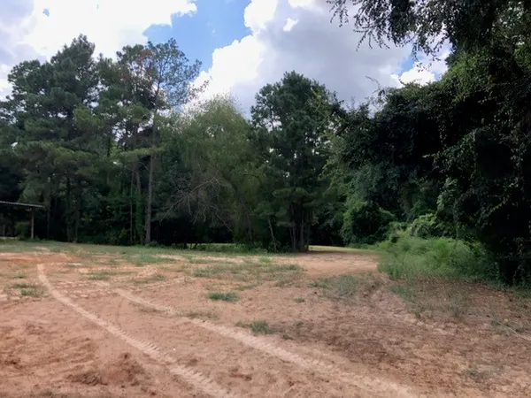 a view of a lush green space