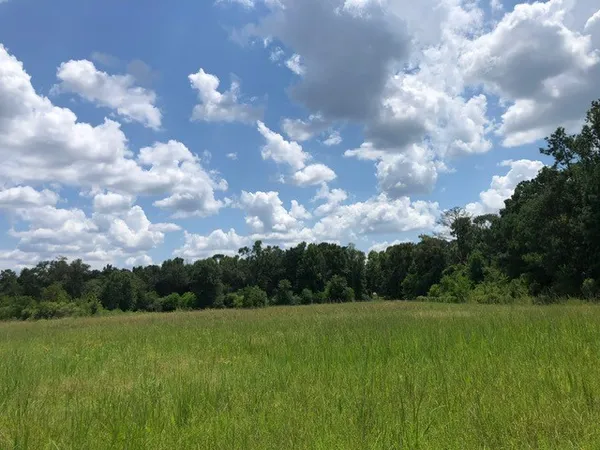 a view of a green field with trees in the background