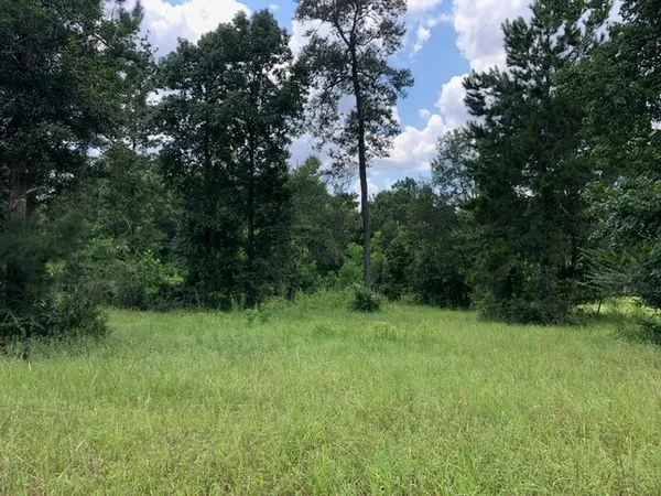 a view of a green yard