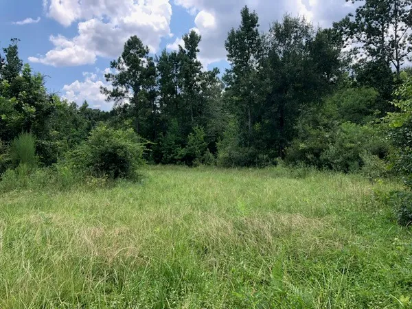 a view of an outdoor space and a yard