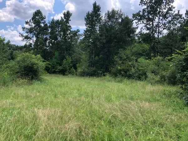 a view of an outdoor space and a yard