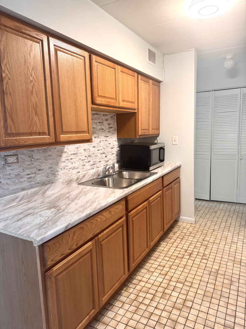 300 South Roselle Road, Unit 309 Schaumburg, IL 60193 - Photo 6 of 19