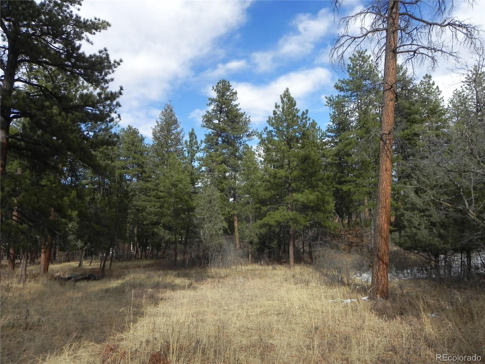 7961 Inca Road Larkspur, CO 80118 - Photo 1 of 35 Gallery Image 1