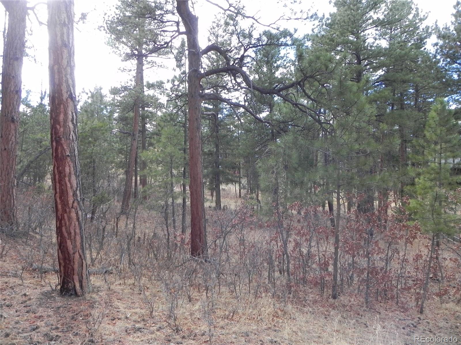 7961 Inca Road Larkspur, CO 80118 - Photo 15 of 35 Gallery Image 15