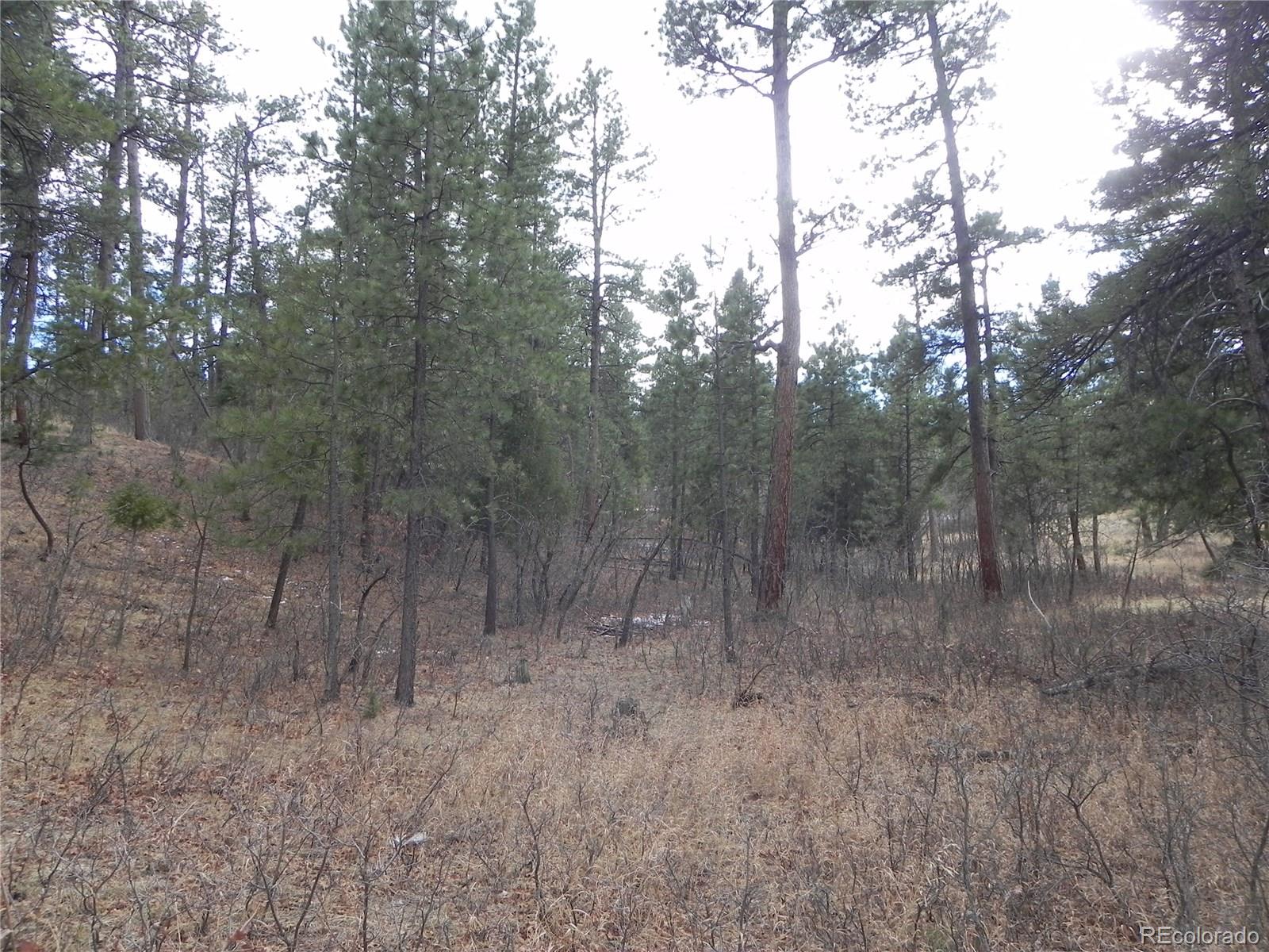 7961 Inca Road Larkspur, CO 80118 - Photo 18 of 35 Gallery Image 18