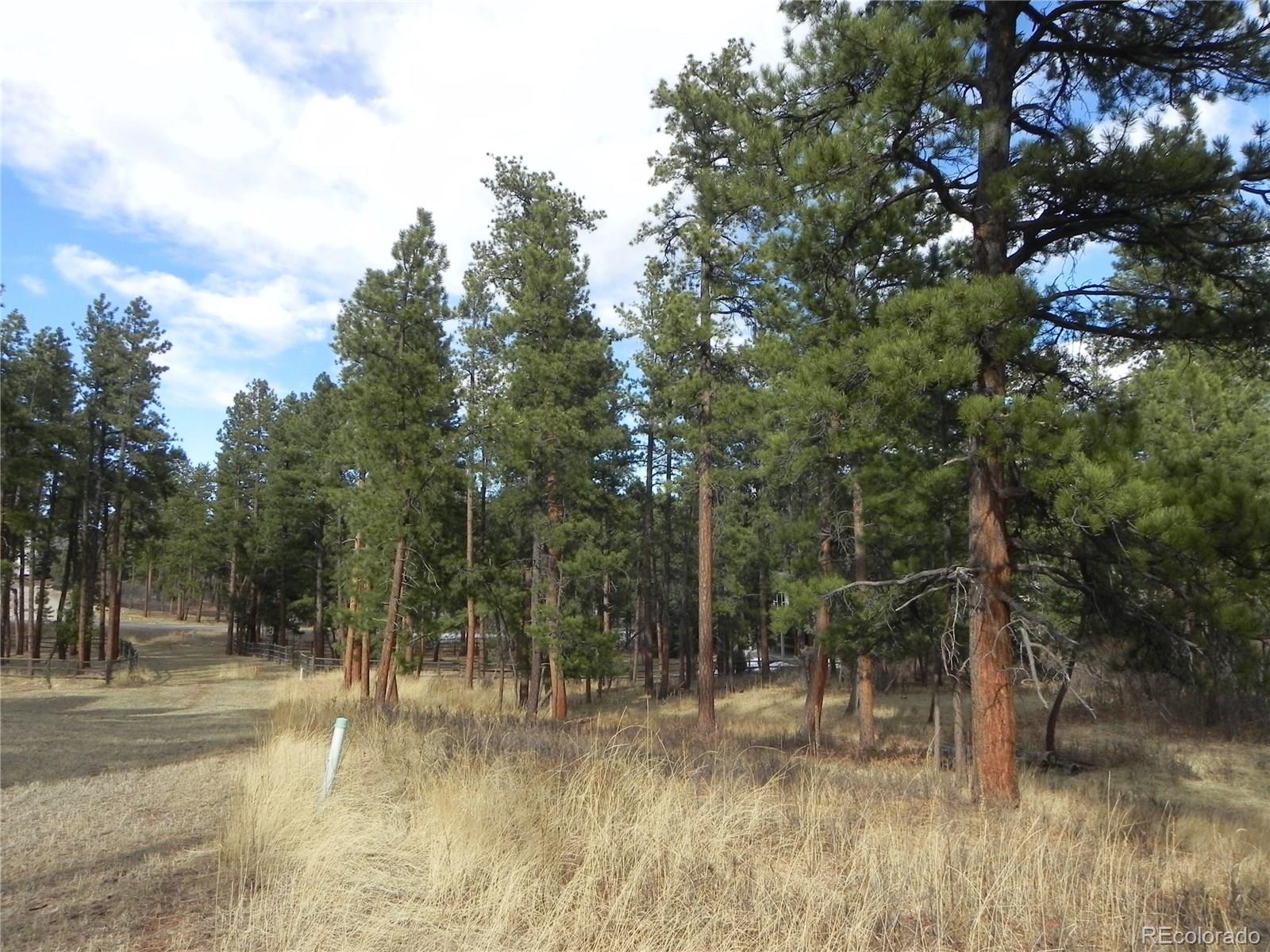 7961 Inca Road Larkspur, CO 80118 - Photo 29 of 35 Gallery Image 29