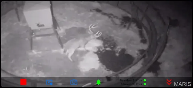 $4,400,000 | 698 Hoot Owl Lane, Grandin, MO 63943