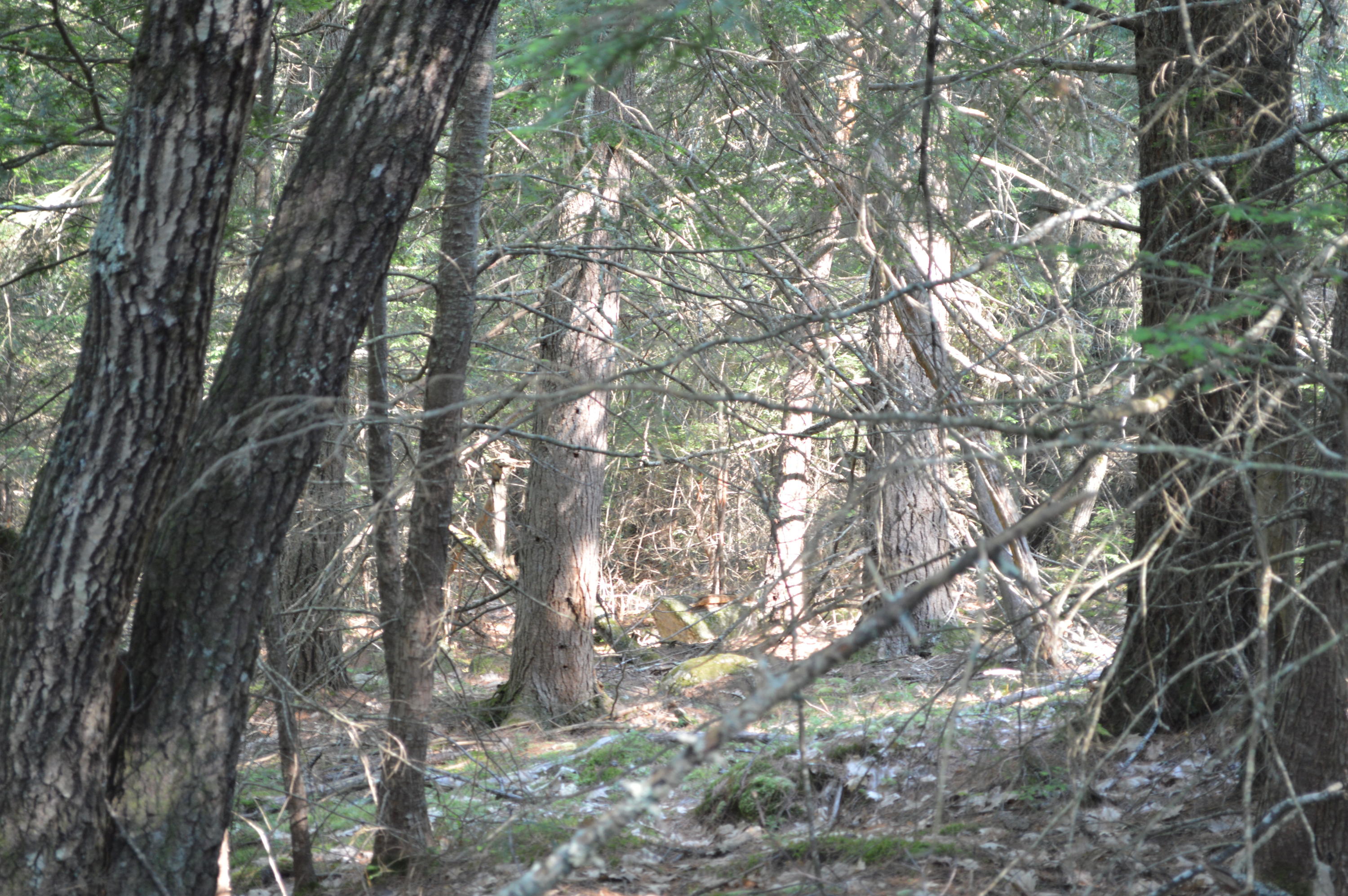 0 Johnson Road Windham, ME 04062 - Photo 17 of 24 .