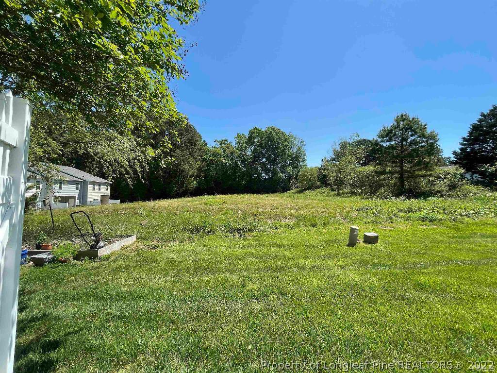 2523 Asher View Court Raleigh, NC 27606 - Photo 18 of 20 Gallery Image 18