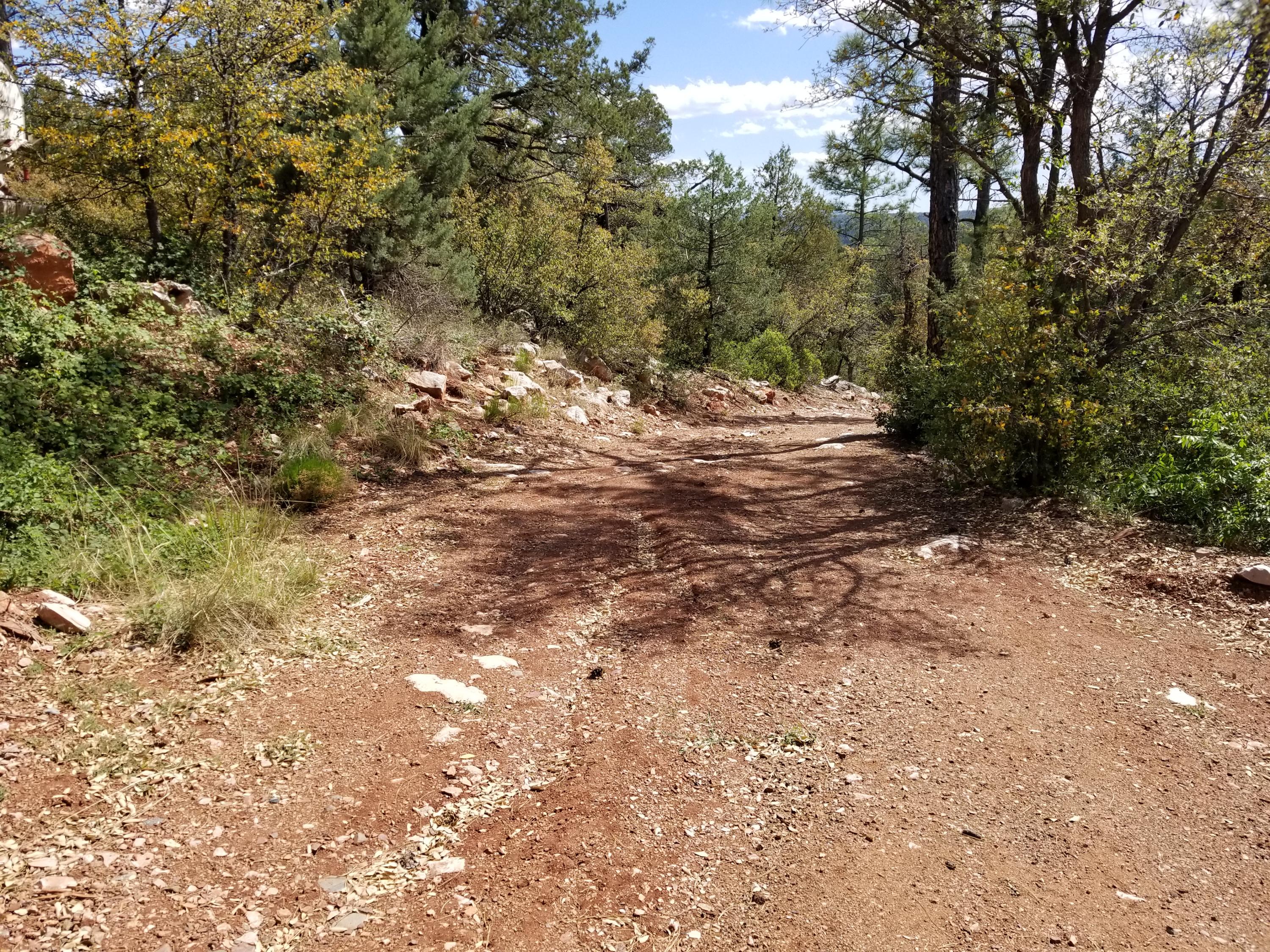17033 Control Road Payson, AZ 85541 - Photo 8 of 28