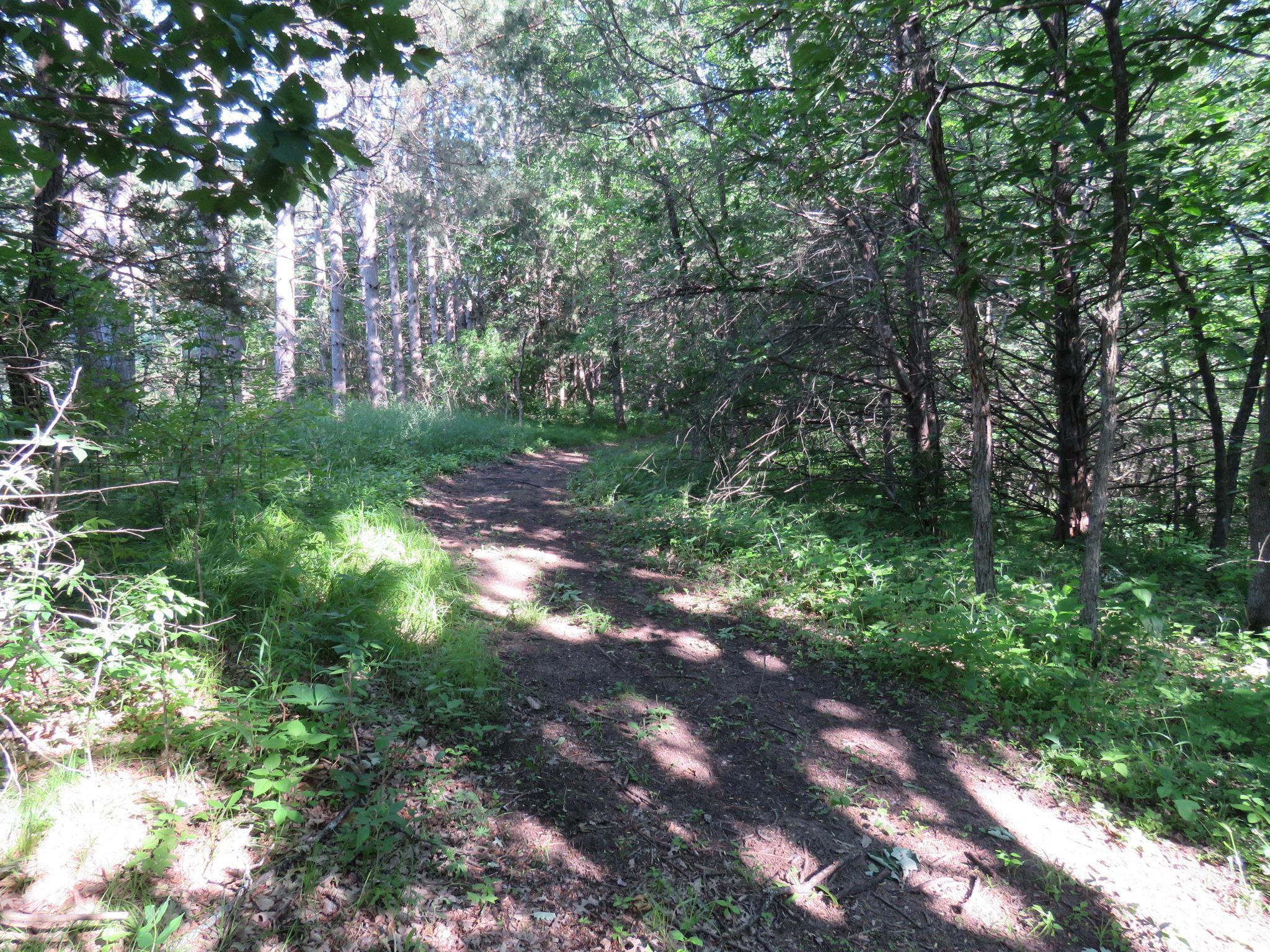 7738 County Road 17 Rice, MN 56367 - Photo 22 of 57
