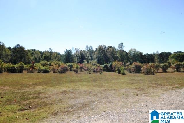 0 County Road 928, Unit 19 Delta, AL 36258 - Photo 26 of 43