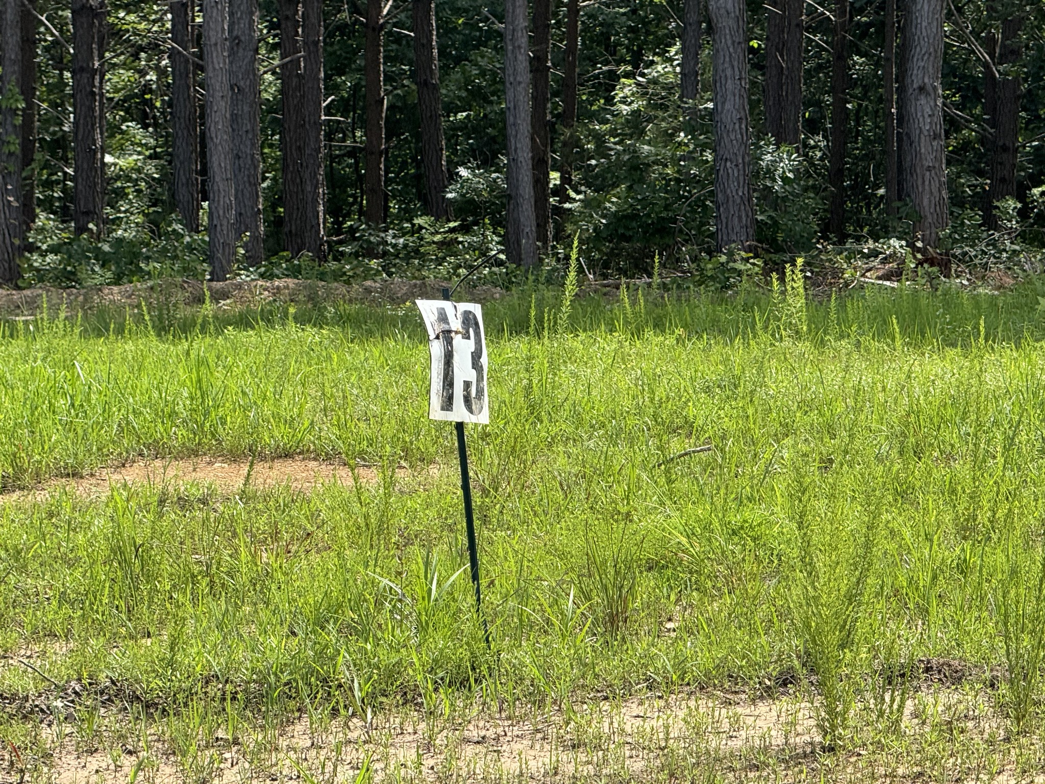 0 Rustic Pines Road Dover, TN 37058 - Photo 5 of 21