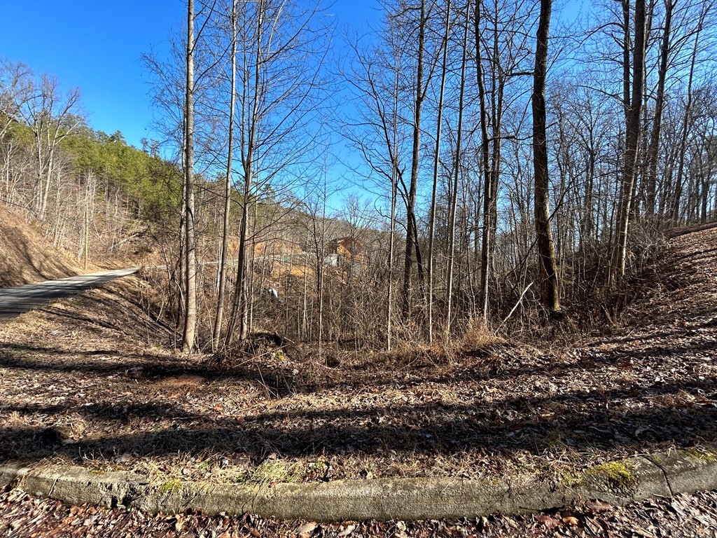 106 Bluff Ridge Road Sevierville, TN 37876 - Photo 5 of 5