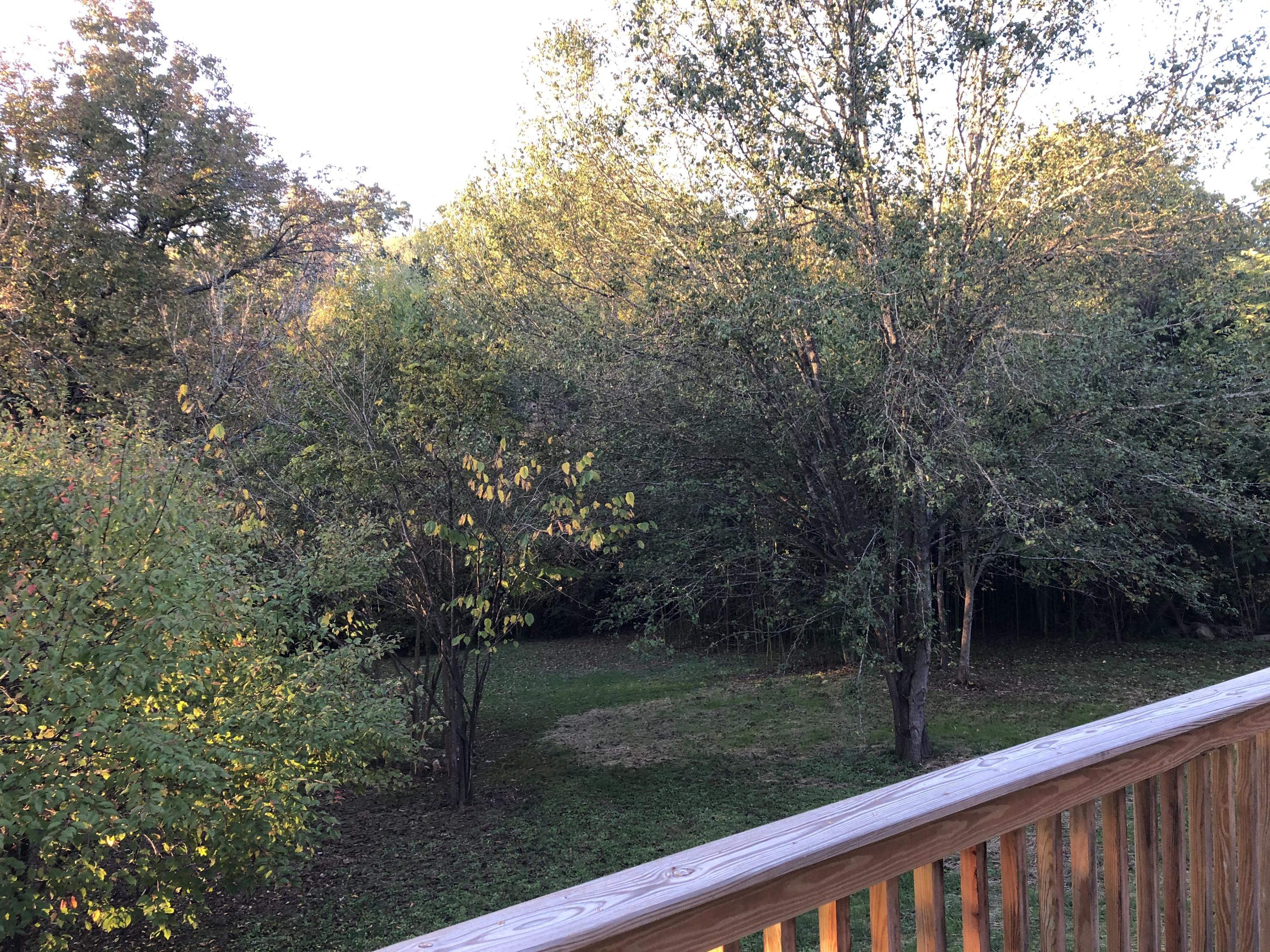 424 Robertsville Road Oak Ridge, TN 37830 - Photo 12 of 29 Back Deck View