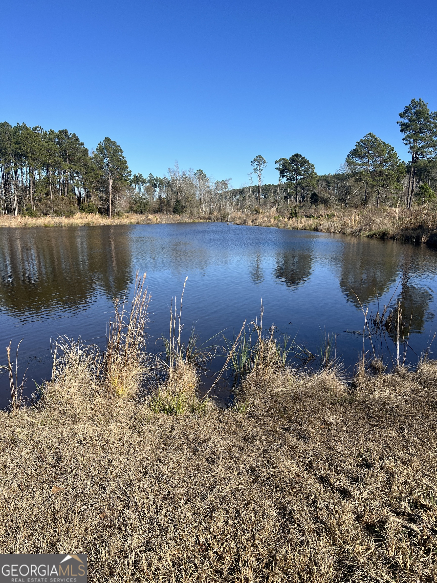 0 Marchants Dairy Road Rhine, GA 31077 - Photo 1 of 11