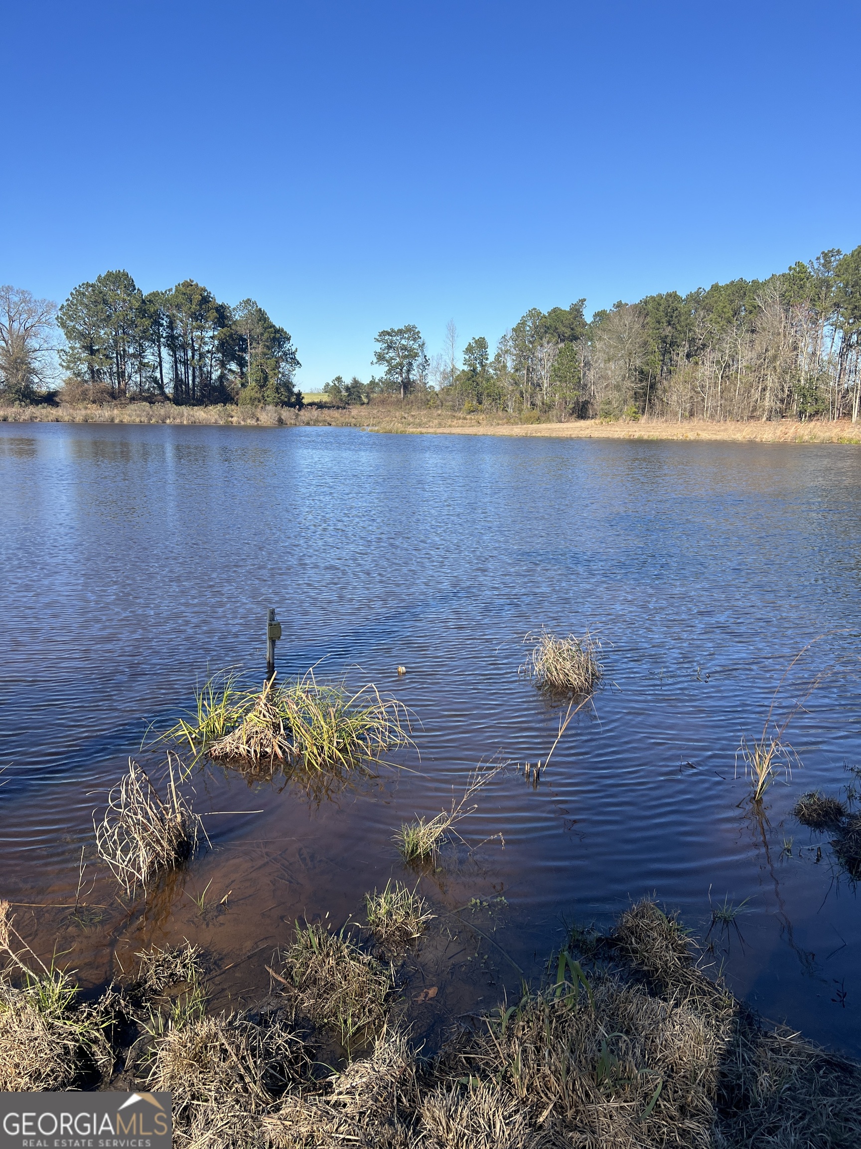 0 Marchants Dairy Road Rhine, GA 31077 - Photo 2 of 11